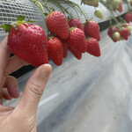 姫路ハートフル観光農園 - 