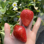 姫路ハートフル観光農園 - 