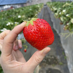 姫路ハートフル観光農園 - 