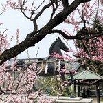 Shiyou Raiken - 隣にある、川巴良諏訪神社の桃の花。