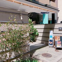 とり田 博多本店 - 