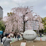 Shinsen An - 上野公園の桜　多くの方がいらしてました　我々もその仲間ですね(^^;