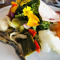 コレドガーナ - 