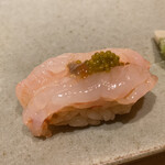 不動前 すし 岩澤 - 握り:しまえび