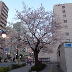 一〇そば - 駒込到着時！また咲いたね～