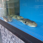 一〇そば - 水槽がありました