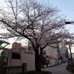 一〇そば - この一週間で変わりました