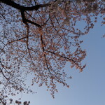 一〇そば - 朝日に染まりゆく