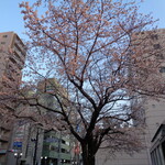 一〇そば - もっと咲きほこれ