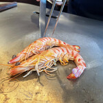 鉄板焼 桂 - 楽しみにしていた車海老