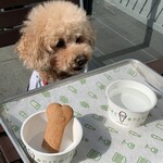 シェイクシャック - 