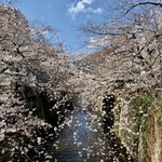 DEAN&DELUCA CAFE - 目黒川の桜2