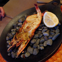 スミレオオサカ - 