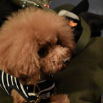 ＭＯＭＩＮＯＫＩ ＨＯＵＳＥ - シェリ②