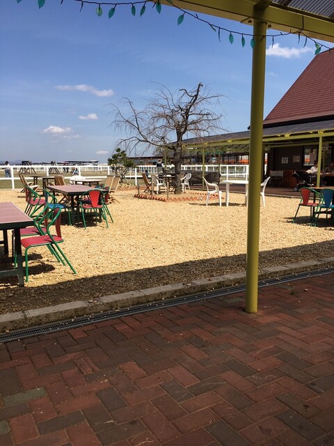 ワールド牧場 金剛 バーベキュー 食べログ