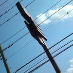 なか卯 - 　2012,09,15