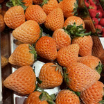 ロビー・ラウンジ - 