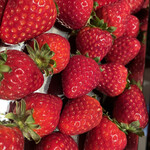 ロビー・ラウンジ - 