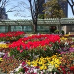 La Brianza - ヒルズの花壇。春のお花が咲き乱れて美しかった☆