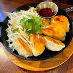 Juicy fried Gyoza / Dumpling