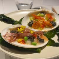 レフェルヴェソンス - 