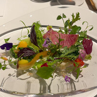 レフェルヴェソンス - 