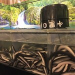 千里うなぎ - 活鰻は大型