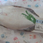 フードD - でっかい　黒ガシラ