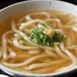 富泉 - かけうどん