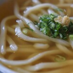 富泉 - かけうどん
