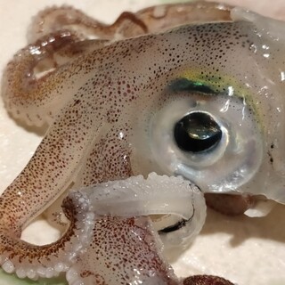 鮮度の高い生きたイカが味わえます By 栃木の正義の味方 竹重 足利 鍋 その他 食べログ