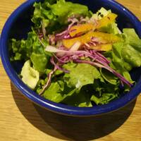 bottega 柏店 - 