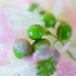 ビストロ セレニテ - 