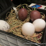 フロリレージュ - 