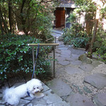 仙石高原大箱根一の湯 - 別棟から本館への石畳