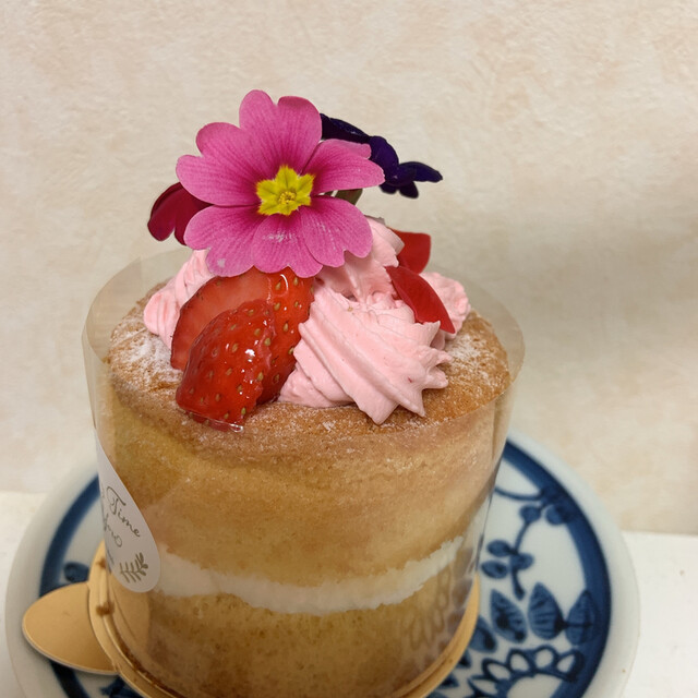 シャトレーゼプレミアム ヤツドキ 吉祥寺店 Chateraise Premium Yatsudoki 吉祥寺 ケーキ 食べログ シャトレーゼプレミアム ヤツドキ 吉祥寺店 Chateraise Premium Yatsudoki 吉祥寺 ケーキ 食べログ