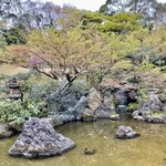 The Garden - 池