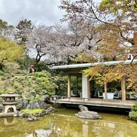 レストラン サクラ - 外観(桜の髪飾りを付けている様です)