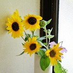 丸川屋 - お店様の店内⑤です(9/16UP)