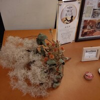 ビフトロ バイ ラ コクシネル - 