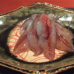 鮨座 醤の - ホタルイカ