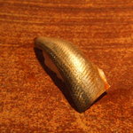 鮨座 醤の - コハダ