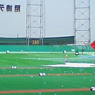 グリーンゲイブルズ_2