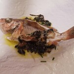 アル・ケッチァーノ - ◆庄内浜のお魚と岩海苔とハーブのソース