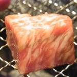 肉の匠 将泰庵 - 史上最高のロース