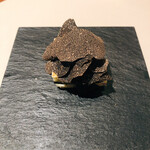 スガラボヴィー - 