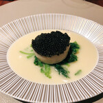 スガラボヴィー - 