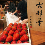 スガラボヴィー - 