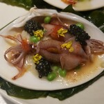 レフェルヴェソンス - 