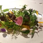 レフェルヴェソンス - 